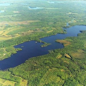 Squaw Lake = 785 acres