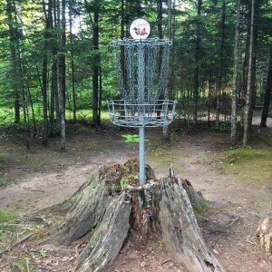 Original Stump Hole #14