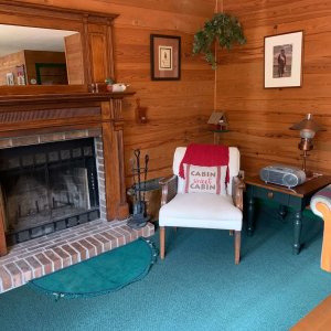 Cozy Antique Fireplace area