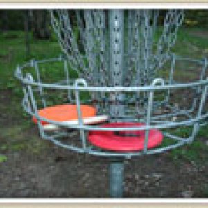 disc-basket-small